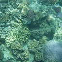 ���� ��������, �����, 57 ��� - ��������� 19 ������� 2017 � ������ ������� 2017�