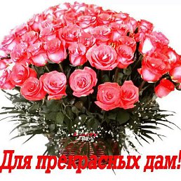 ���� A, ������, 56 ��� - ��������� 28 ���� 2017