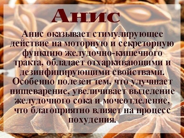 Полезные свойства специй - 7