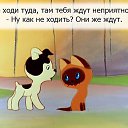 ���� ����, ��������, 36 ��� - ��������� 3 ��� 2017 � ������ ������ ��������