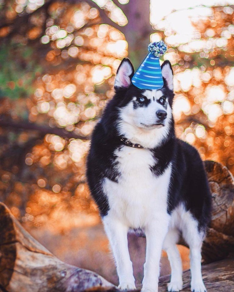 E s t h e t i q u e - 11  2017  23:53 - 8