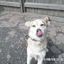 ���� �, �������, 40 ��� - ��������� 22 ������ 2017 � ������ ���� ����������