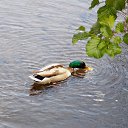 9.06.2017 �� ������� �� ��� - ��������!!!)))�