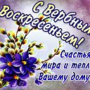 ���� �����, ������, 61 ��� - ��������� 9 ������ 2017 � ������ ������ ��������
