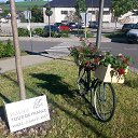 ���� Zoya Vavilova, ����������, 68 ��� - ��������� 26 ��� 2017 � ������ ���� ����������