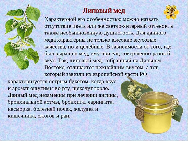Липовый мед фото и описание
