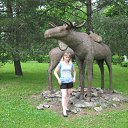 ���� �������, �������-���������, 45 ��� - ��������� 22 ���� 2017 � ������ ���� ����������