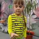 ���� �����, �����-���������, 41 ��� - ��������� 19 ���� 2017 � ������ ������ ��������