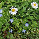  , , 60  -  23  2017    - 2017