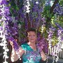 ���� �������, �������� - ��������� 15 ������� 2017 � ������ ���� ����������