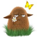 ���� ����, ��������, 39 ��� - ��������� 16 ��� 2017 � ������ ���� ����������