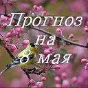���� ������, ���������, 55 ��� - ��������� 7 ��� 2017 � ������ ������ ��������