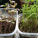 ���� ������, ������, 54 ���� - ��������� 4 ���� 2017 � ������ ������ ��������