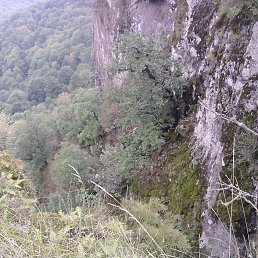 ���� Davit, ������, 44 ���� - ��������� 3 ������� 2017