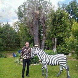 ���������, ����������, 37 ���