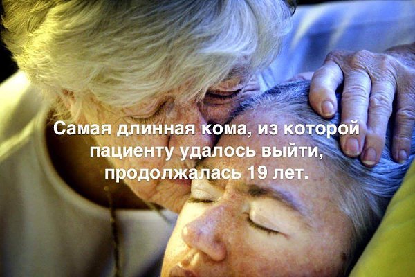 ������� - 12 ���� 2017 � 17:36