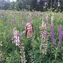 ���� �������, ������, 47 ��� - ��������� 18 ������� 2017 � ������ ���� ����������