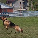  2007.  .   NORDWESTLICH HOF TRIKSI