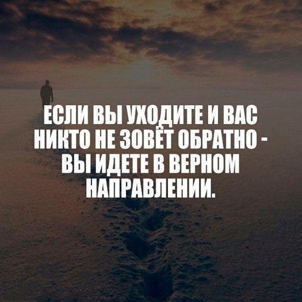 BEST | , ,  - 16  2017  03:53