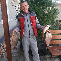 ³����, ��������, 45 ���