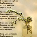 ���� ������, ������������, 74 ���� - ��������� 9 ������ 2017 � ������ ������ ��������