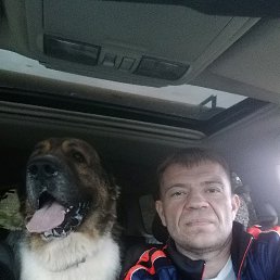 ���� �����, ����-���������, 47 ��� - ��������� 17 ���� 2017