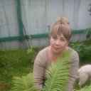 ���� �����, �������, 48 ��� - ��������� 12 ���� 2017 � ������ ���������� ������