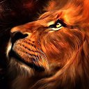 ���� Vladimir, ���������, 52 ���� - ��������� 7 ��� 2017 � ������ ���� ����������