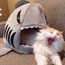 ���� ���������, ������������, 43 ���� - ��������� 13 ������ 2017 � ������ ���� ����������