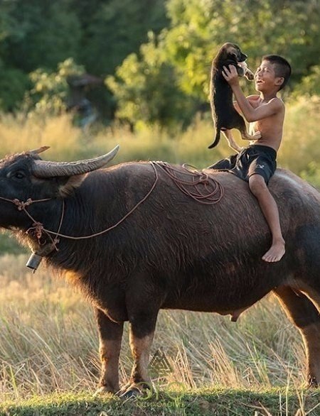 ����� ������, ��� �� ����� ���� ����� �����, �� ����� �� �������.. - 2