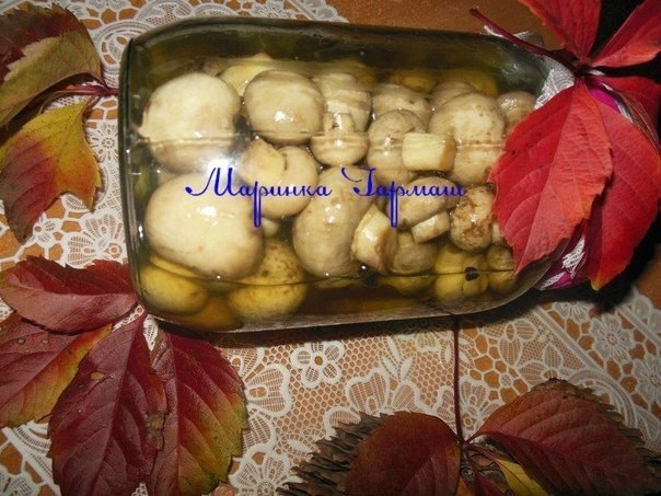 Маринованные шампиньоны