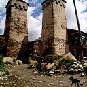 ����� �� ������� ������ ��������