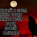 ���� �������� �������, ������ - ��������� 14 �������� 2017 � ������ ������ ��������