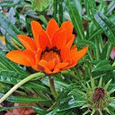  , , 60  -  24  2017   ,&quot;   ..&quot; ,22.10.17