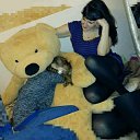 ���� �����, ����� - ��������� 28 ���� 2017 � ������ ���� ����������