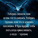 ���� �����, ���������, 55 ��� - ��������� 31 ��� 2017 � ������ ���� ����������