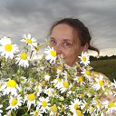 ���� �������, ���������, 53 ���� - ��������� 14 ���� 2017 � ������ ���� ����������