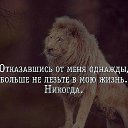 ���� ����, ��������, 51 ��� - ��������� 5 ���� 2017 � ������ ������ ��������