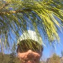 ���� ����, ����������, 58 ��� - ��������� 17 ���� 2017 � ������ ���� ����������