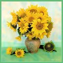 ���� �������, ������, 75 ��� - ��������� 1 ������� 2017