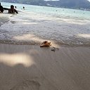 ���� ������, ����������, 55 ��� - ��������� 27 ������� 2017 � ������ ���� ����������