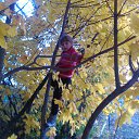 ���� �������, ������� - ��������� 17 ������� 2017 � ������ �������� 2017 ���