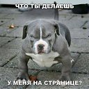 ���� ���������, �����-��������� - ��������� 10 �������� 2017 � ������ ������ ��������