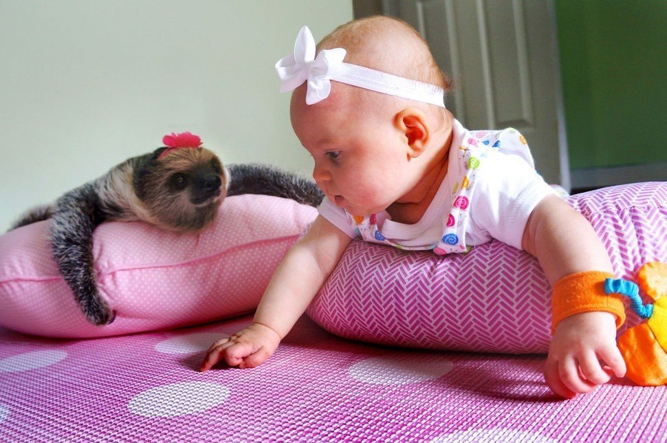  : 5-      .#@https://fotostrana.ru/away?to=/sl/XE2 - 8
