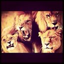 ���� ������, ��������, 34 ���� - ��������� 15 ������ 2017