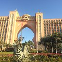 ���� ����, ������, 42 ���� - ��������� 14 ���� 2017 � ������ ���� ����������