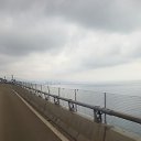 ���� ����, ��������, 39 ��� - ��������� 17 ������ 2017 � ������ �������