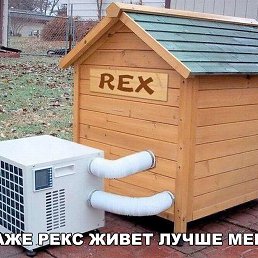 ��, ������