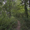 ���� ���������, ������ - ��������� 31 ������� 2017 � ������ ��������� � ������������ ��� 20 ������� 2017 ����