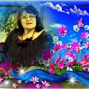 ���� �������, �������, 72 ���� - ��������� 2 ������� 2017 � ������ ���� ����������